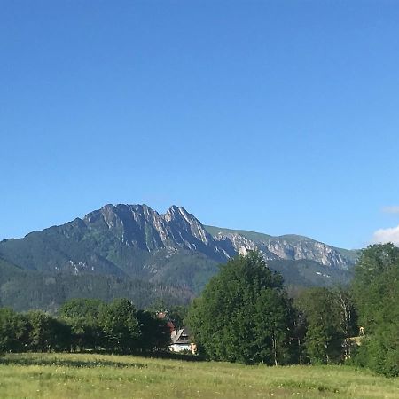 Camping Zakopane Willa Skoczek Oferta Nie Dotyczy Noclegu W Pokoju ,W Namiocie Reczniki Woda Mineralna , Koldra Poduszki Lub Spiwory Экстерьер фото