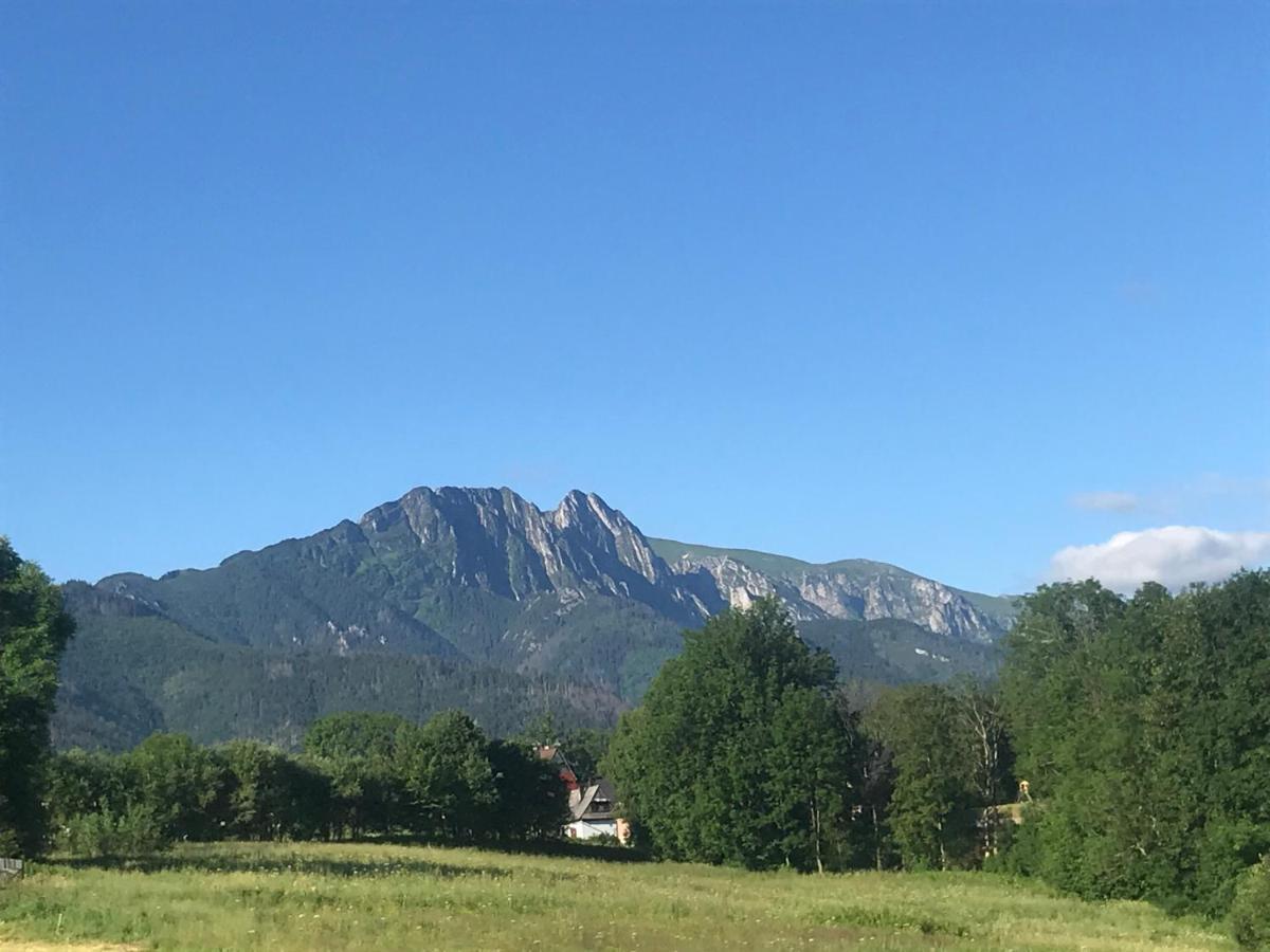 Camping Zakopane Willa Skoczek Oferta Nie Dotyczy Noclegu W Pokoju ,W Namiocie Reczniki Woda Mineralna , Koldra Poduszki Lub Spiwory Экстерьер фото